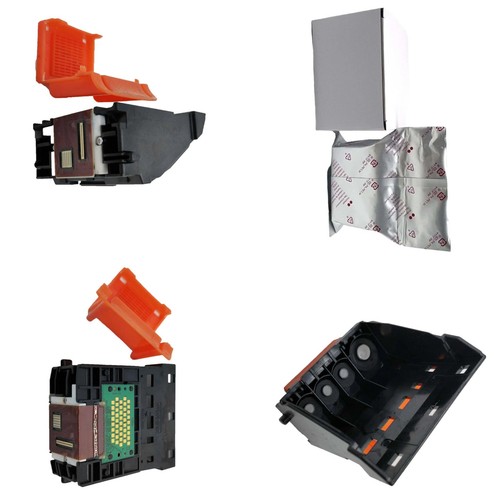 Qy6 0064 0042 - testina, di